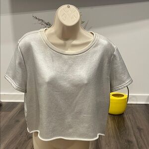 Women's Silver Crop Top